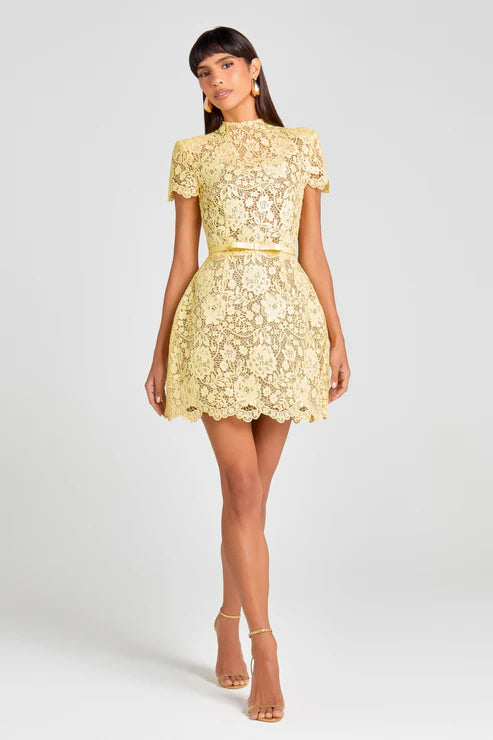 Lace Round Neck Short Dress