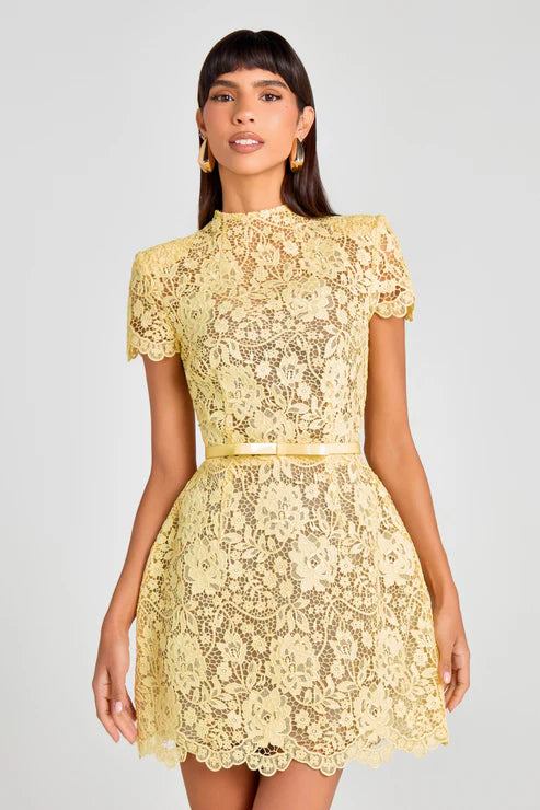Lace Round Neck Short Dress