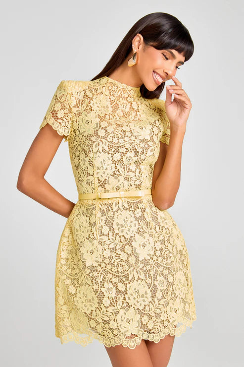 Lace Round Neck Short Dress
