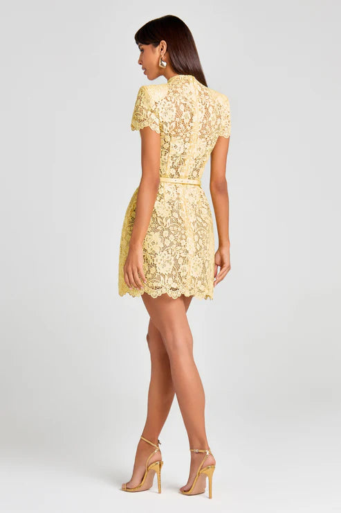 Lace Round Neck Short Dress