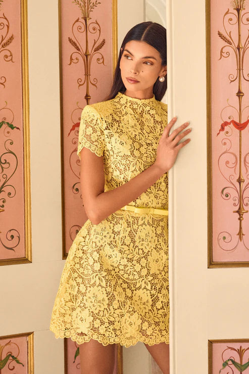 Lace Round Neck Short Dress